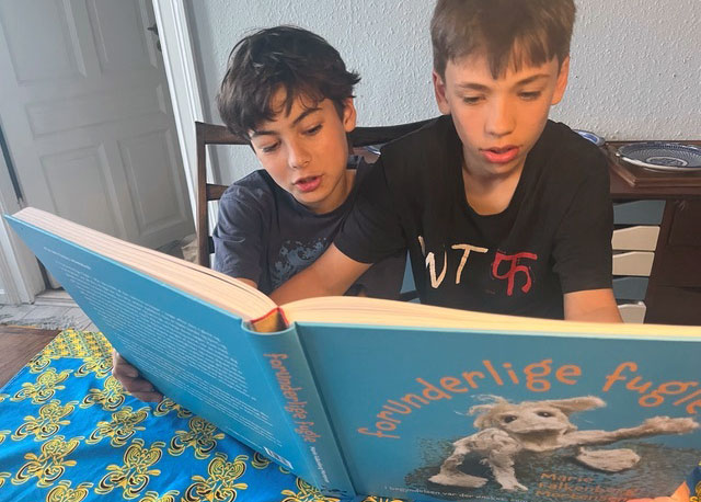 To drenge, der læser bogen forUnderlige fugle